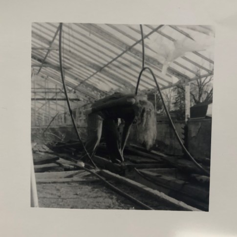 49644303273_967b846e27_o