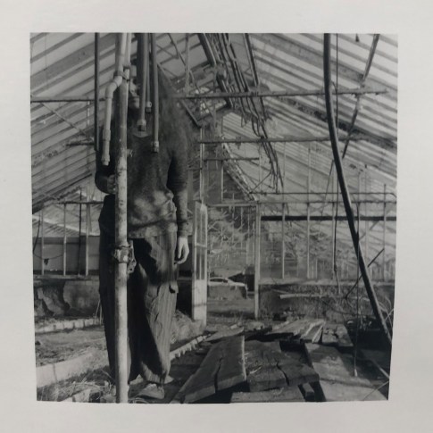 49644303298_034f540d71_o