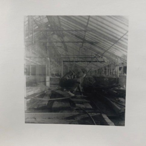 49645113192_6276db397d_o